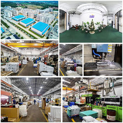 China Shenzhen Flyon Sports  Co., Ltd. Perfil de compañía