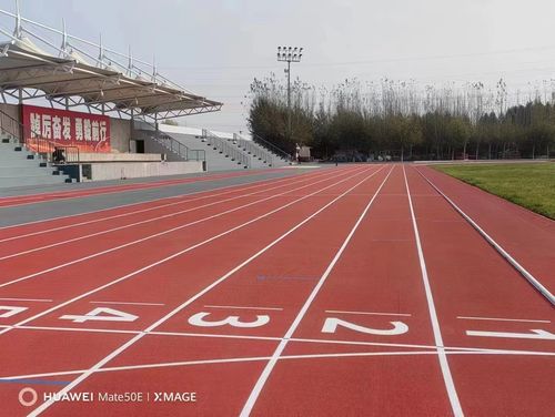 Latest company news about La diferencia entre la pista de goma y la pista de plástico