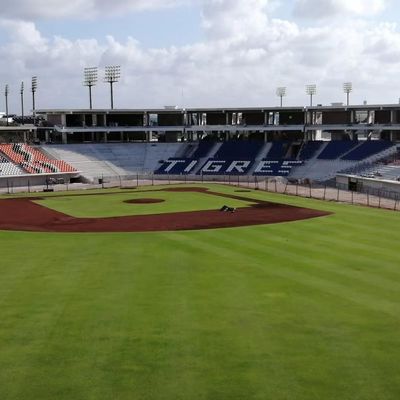 Buen precio Extremidad de la instalación del piso encima del estadio plástico que asienta la prueba de fuego ULTRAVIOLETA anti antienvejecedora en línea