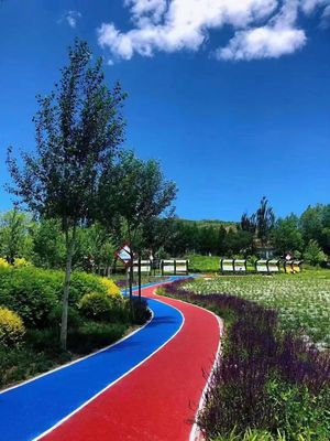 Buen precio Pista de atletismo rectangular con resistencia al desvanecimiento para ejercicios al aire libre en línea