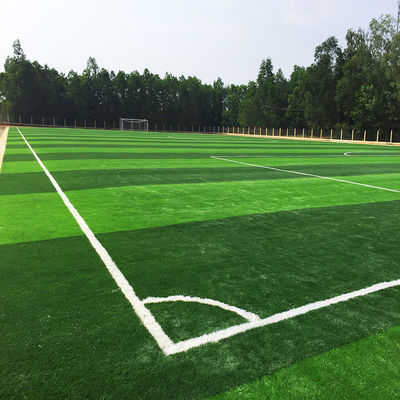 Buen precio Material falso de la hierba PE PP del campo de fútbol artificial sintético para el campo de fútbol en línea