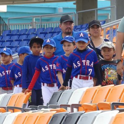 Silla de estadio de plástico HDPE con características anti-envejecimiento, anti-UV y ignífugas para estadios y estadios