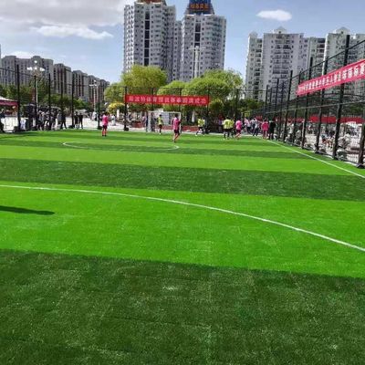 Buen precio Hierba artificial sintética material del PE PP para el entrenamiento de la escuela del fútbol en línea