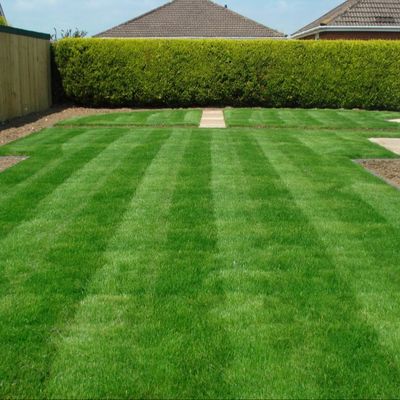 Buen precio hierba artificial del sintético de 35m m, hierba ULTRAVIOLETA anti del césped del jardín para la yarda en línea