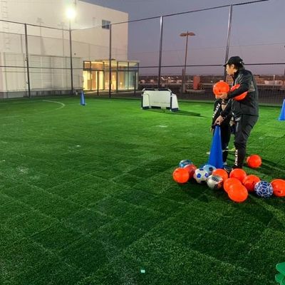Buen precio Hierba artificial antienvejecedora ULTRAVIOLETA anti 45m m, × sintético los 50cm de la hierba los 50cm de los deportes en línea