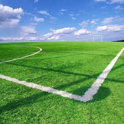 Buen precio ULTRAVIOLETA anti de la hierba artificial sintética del campo de fútbol para ajardinar el ODM del OEM de la decoración en línea