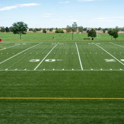 Buen precio × los 4m de los 25m por la hierba artificial del fútbol del rollo, hierba sintética del campo de fútbol verde oscuro en línea