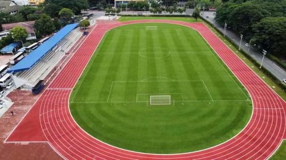 Buen precio Pistas de atletismo de caucho de bajo mantenimiento para gimnasios en línea