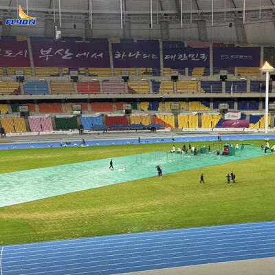 Buen precio Peso 8 kg / baldosas 6 años de garantía Resistencia a los impactos de alta portabilidad de los pisos de eventos para la protección del césped en línea